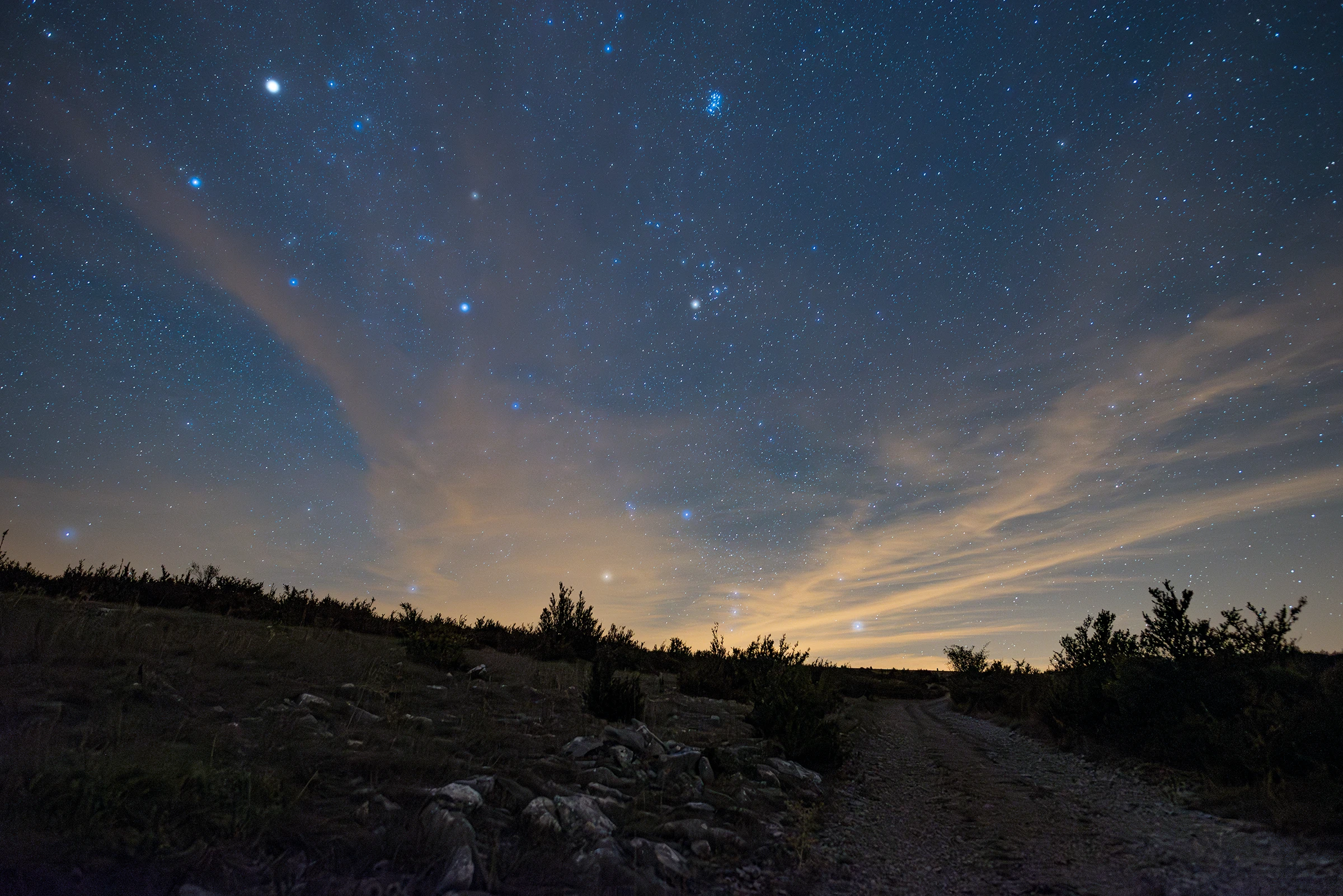 placeholder image sq