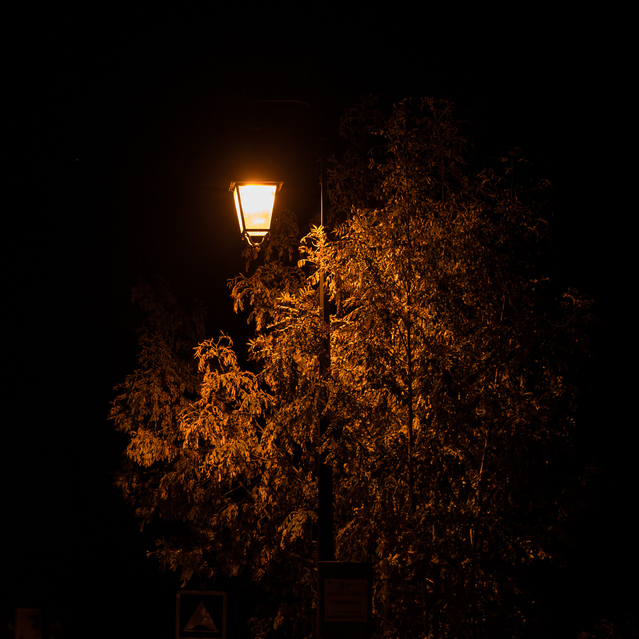 241_H3A8877 2HD_3000px 2S