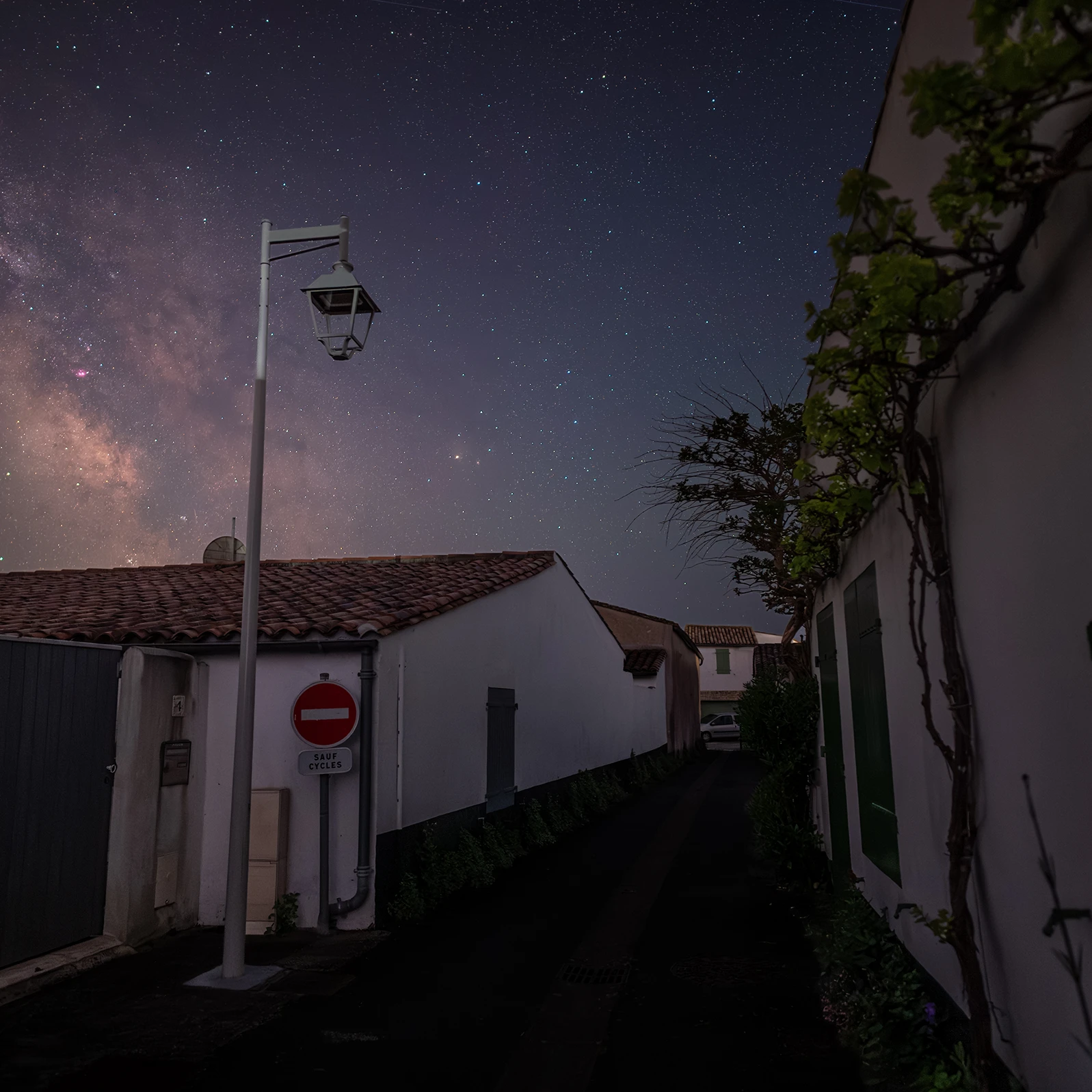 2025 04 25_052510_DSC_0605 Avec%20accentuation NR carre