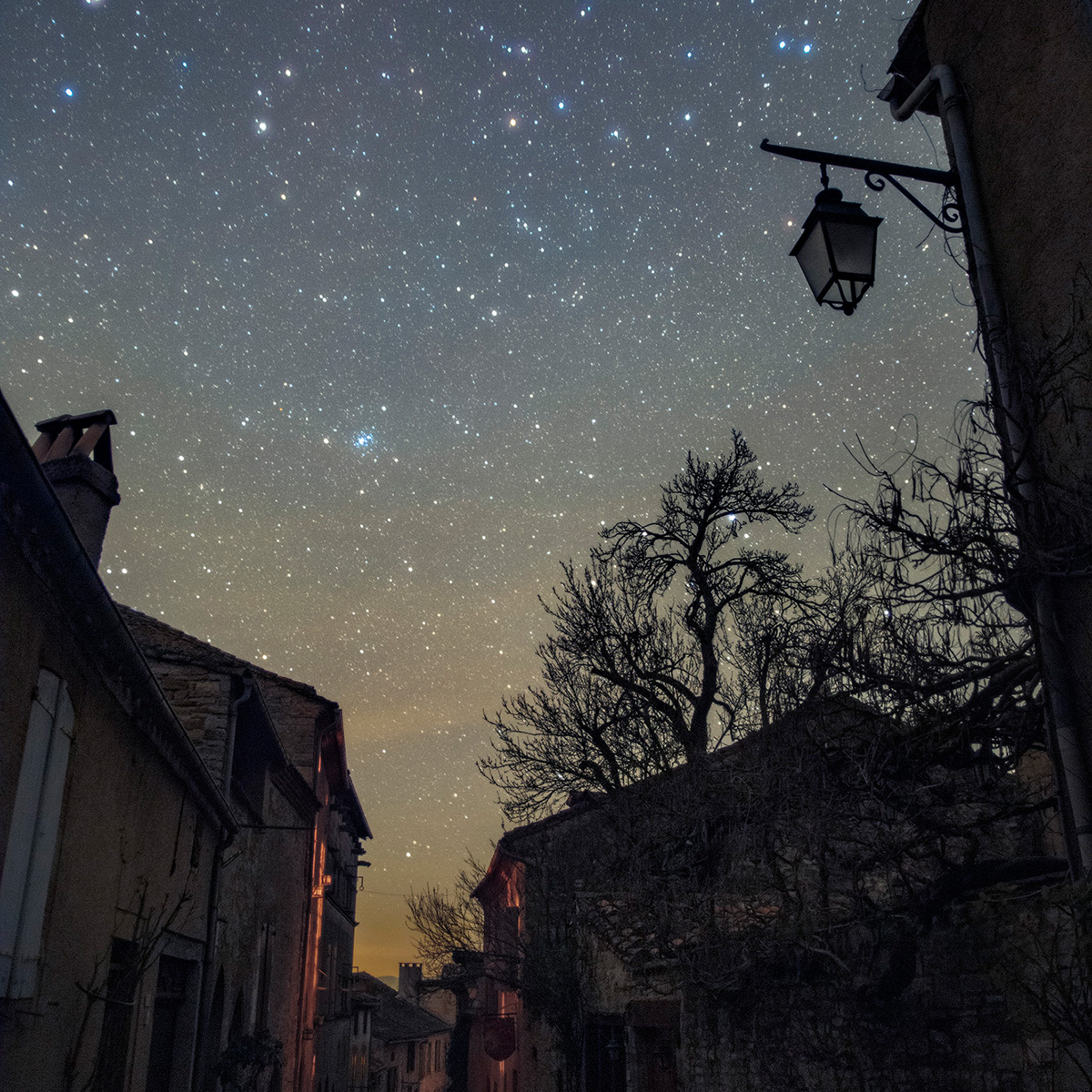 2025 04 25_052510_DSC_0605 Avec%20accentuation NR carre